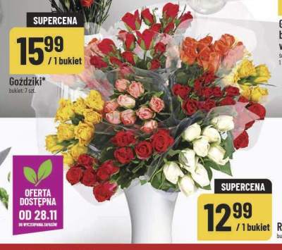 Goździki promocja w POLOmarket