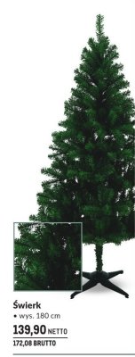 Świerk choinka 180 cm promocja w Makro