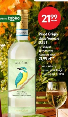 Wino promocja w Żabka