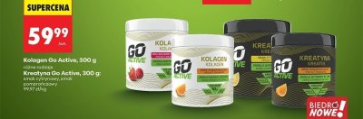 Kreatyna Go Active 300 g smak pomarańczowy promocja w Biedronka