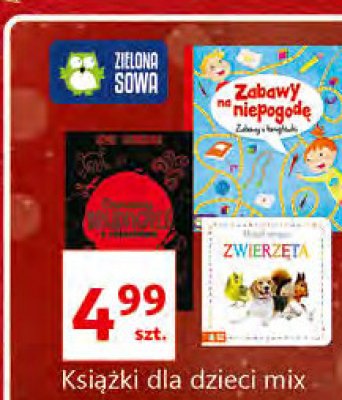 Zabawy na niepogodę promocja