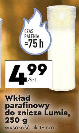 Wkład parafinowy 18 cm 75 h Lumia promocja w Biedronka