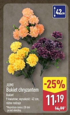 Bukiet chryzantem promocja w Aldi