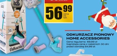 Odpukrzacz pionowy HOME ACCESSORIES promocja w Supeco