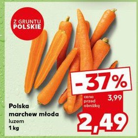 Marchew młoda polska promocja