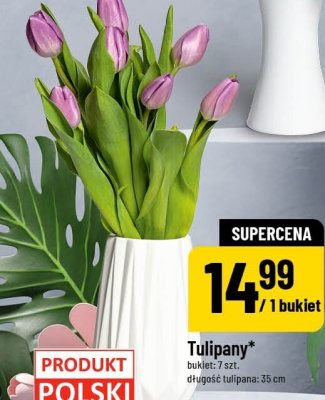 Tulipany 7 szt. promocja w POLOmarket