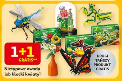 Nietypowe owady lub klocki 4-variety promocja w Auchan
