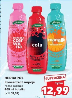 Koncentrat napoju HERBAPOL różne rodzaje promocja w Kaufland