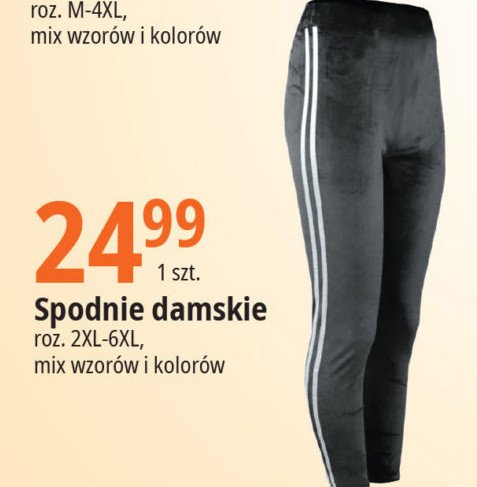 Spodnie damskie 2xl-6xl promocja