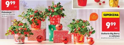 Od czwartku, strona 86 promocja w Biedronka