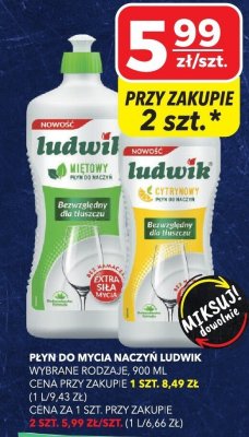 Płyn do mycia naczyń Ludwik wybrane rodzaje promocja w Top Market