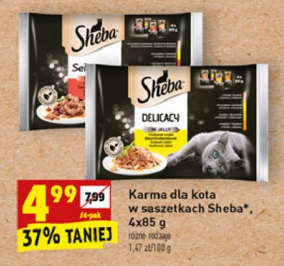 Karma dla kot kurczak + wołowina + indyk + kaczka Sheba promocja