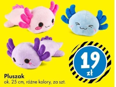 Pluszak ok. 25 cm, różne kolory promocja w Tedi