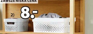 Kosz INFINITY Polipropylen 18x26x12 cm, 4,5 l promocja w Jysk