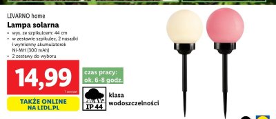 Lampa solarna 44 cm LIVARNO HOME promocja
