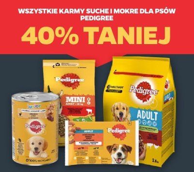 Karma sucha i mokra dla psów Pedigree promocja w Netto