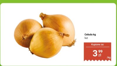 Cebula luz promocja w Dino