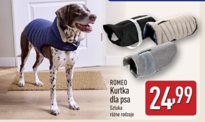 Kurtka dla psa  promocja w Aldi