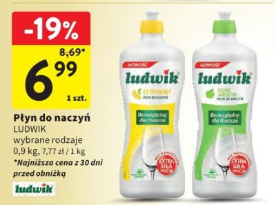 Płyn do naczyń Ludwik wybrane rodzaje promocja w Intermarche