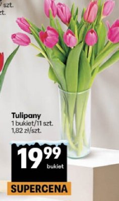 Tulipany 1 bukiet/11 szt. promocja w Delikatesy Centrum