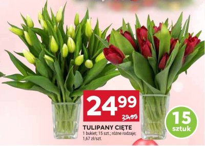 Tulipany cięte 15 sztuk promocja w Stokrotka