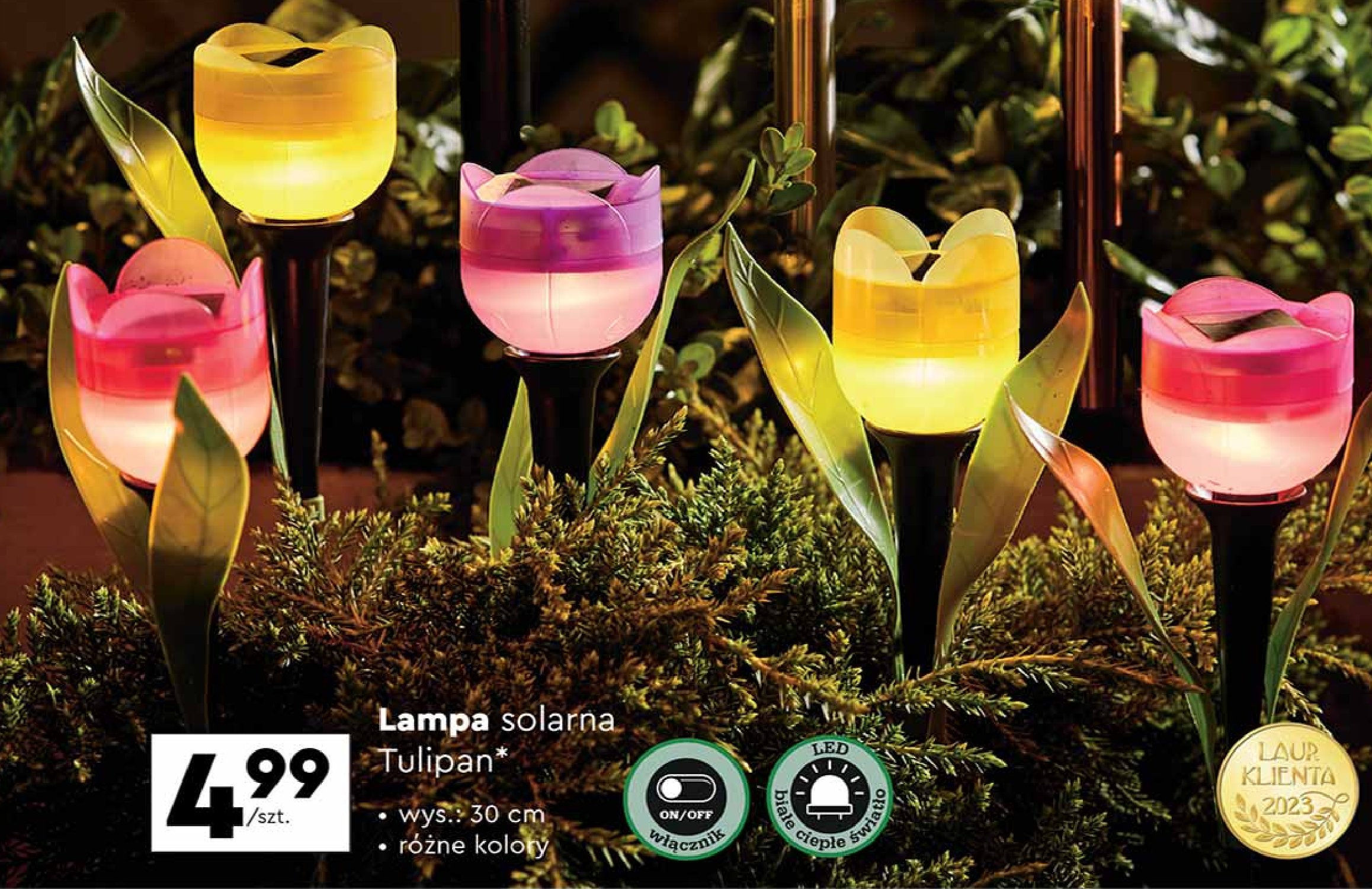 Lampa solarna tulipan wys. 30 cm Gardenic promocja