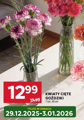 Kwiaty cięte goździki promocja w Stokrotka