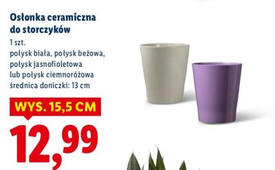 Osłonka ceramiczna do storczyków biała promocja w Lidl