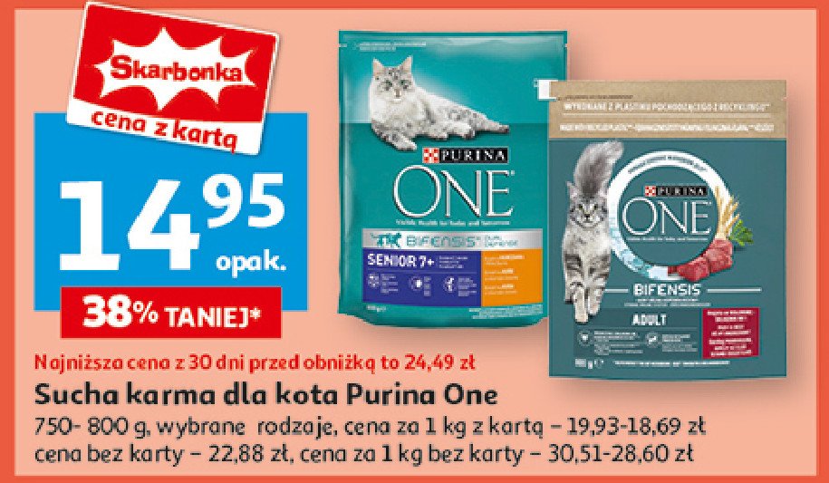 Karma dla kota senior Purina promocja