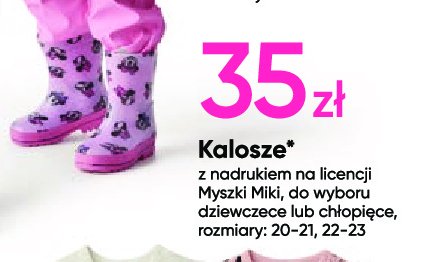 Kalosze myszka miki rozm. 22-23 promocja