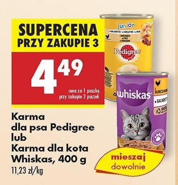 Karma dla psa z kurczakiem w galaretce Pedigree promocja