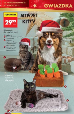 Drapak dla kota z piłeczką i kocimietką ACTIV'PET KITTY promocja w Biedronka