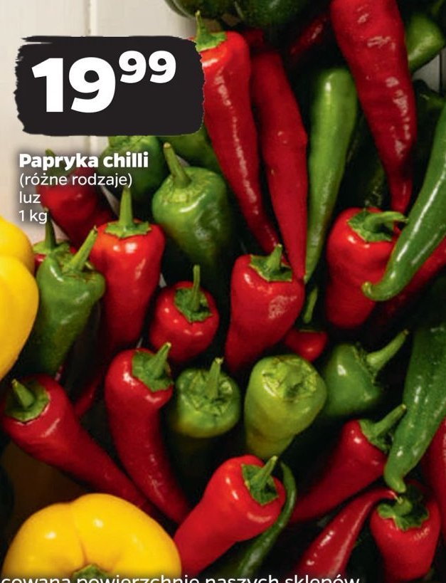 Papryka zielona chilli promocja