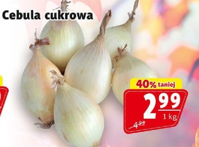 Cebula cukrowa promocja w Prim Market