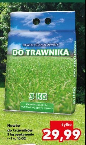 Nawóz do trawników promocja w Kaufland