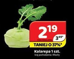 Kalarepa 1 szt. promocja w Delfin