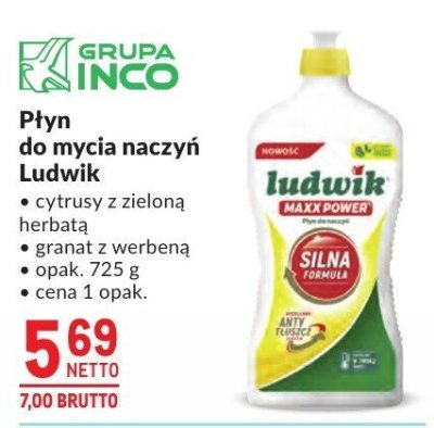 Płyn do mycia naczyń Ludwik promocja w Makro