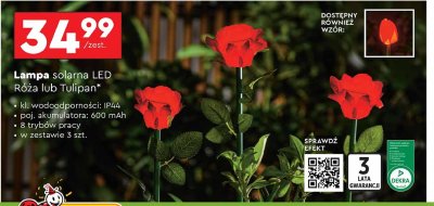 Lampa solarna tulipan promocja