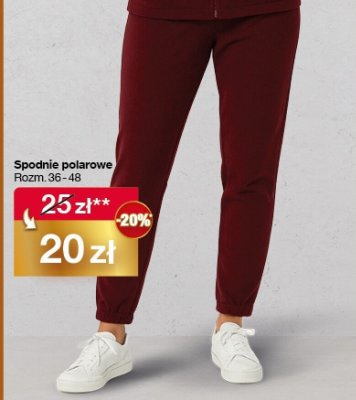 Spodnie polarowe damskie Woolworth promocja