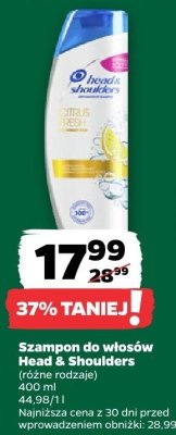 Szampon do włosów promocja w Netto