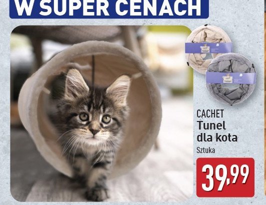 Tunel dla kota Cachet promocja