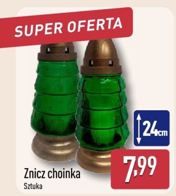 Znicz choinka promocja w Aldi