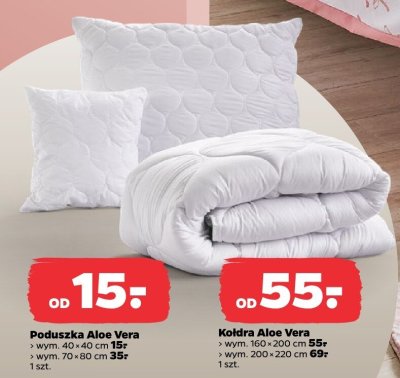 Poduszka Aloe Vera 40x40 cm promocja w Netto
