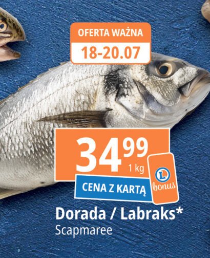 Dorada Scapmaree promocja