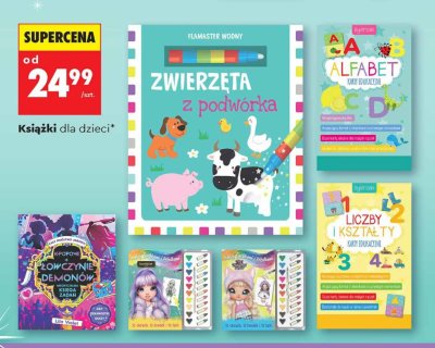 Książka Liczby i kształty karty edukacyjne promocja w Biedronka