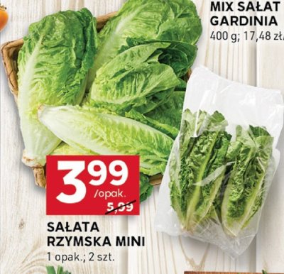 Sałata rzymska mini promocja w Stokrotka