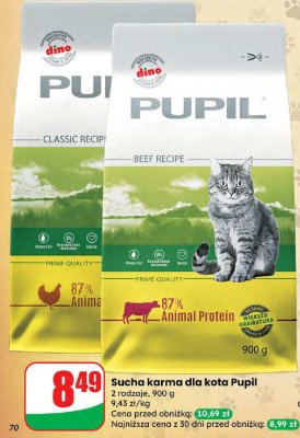 Sucha karma dla kota Pupil 2 rodzaje promocja w Dino