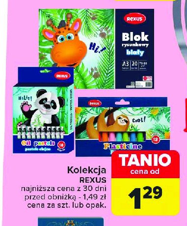 Pastele olejne 18 kolorów Rexus promocja