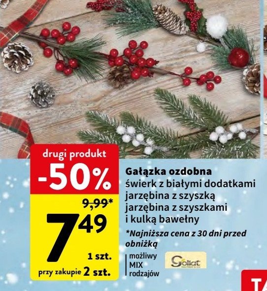 Gałązka jarzębiny z szyszką Goliat promocja