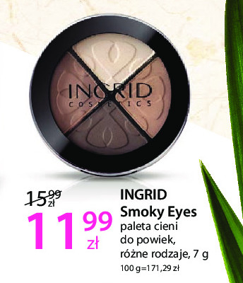 Cienie do powiek smokey eyes nr 118 Ingrid cosmetics promocja